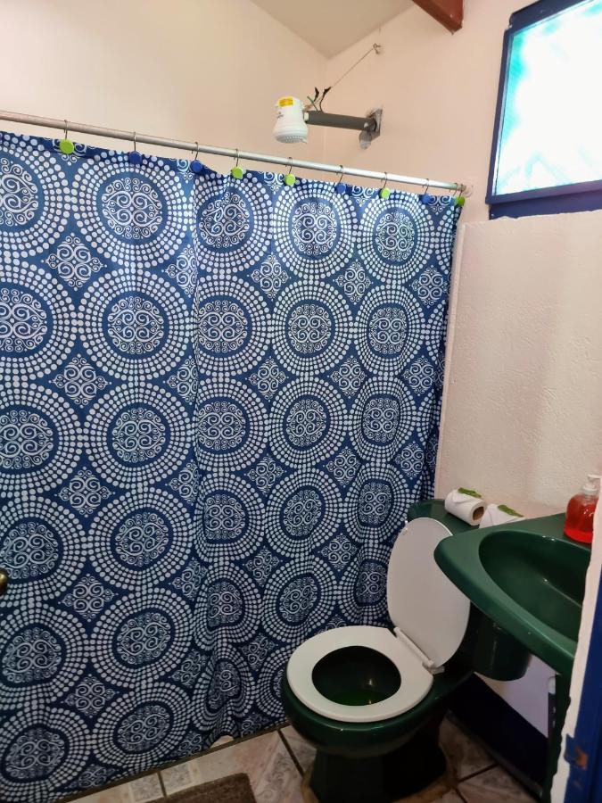 Cabinas Tortuguero Natural Zewnętrze zdjęcie