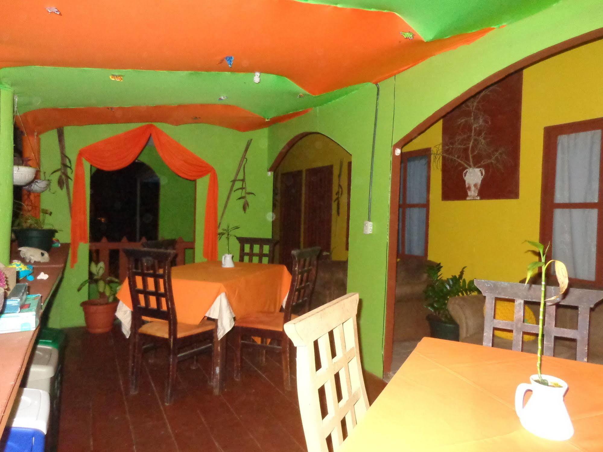 Hostel Cabinas Tortuguero Natural Zewnętrze zdjęcie